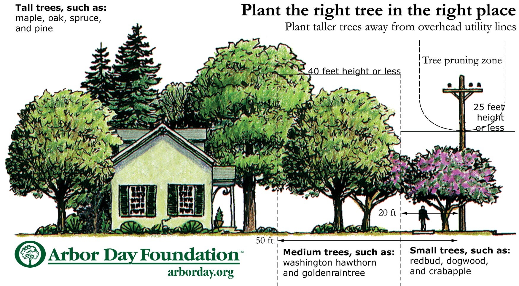 Right-Tree-Place.jpg